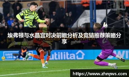 埃弗顿与水晶宫对决前瞻分析及竞猜推荐策略分享