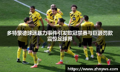 多特蒙德球迷暴力事件引发欧冠禁赛与巨额罚款震惊足球界